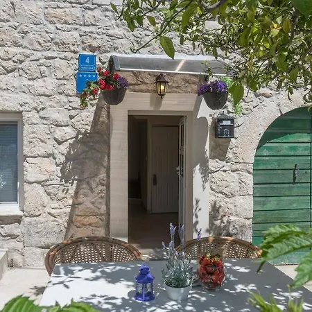 Lavanda Drvenik (Split-Dalmatia)
